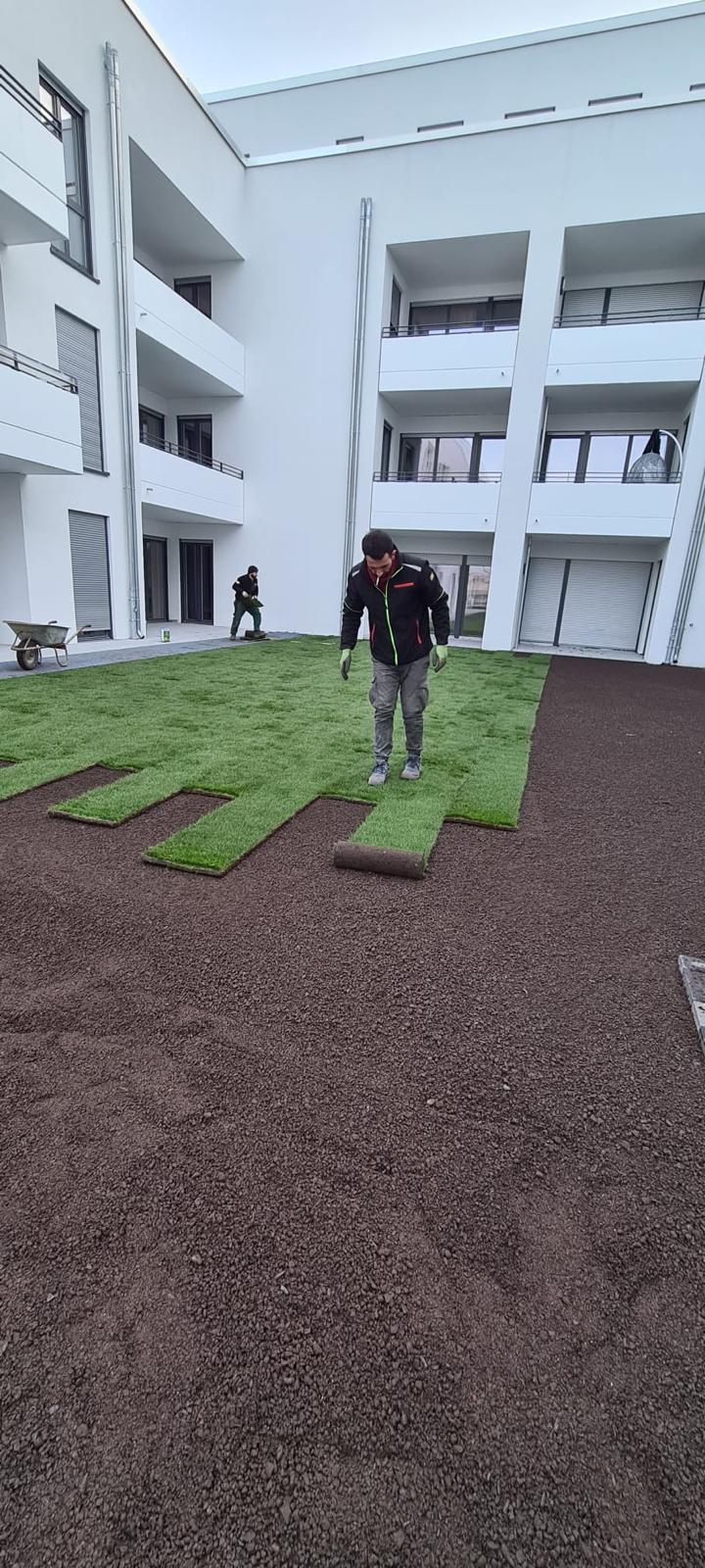 Rasenneuanlage im Innenhof